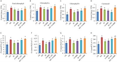 Melatonin and 14-hydroxyed brassinosteroid combined promote kiwifruit seedling growth by improving soil microbial distribution, enzyme activity and nutrients uptake